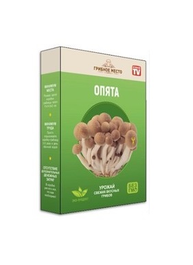 Домашняя грибная ферма Mushrooms Farm Опята