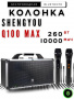 Bluetooth колонка Shengyou Q100 MAX с 2 микрофонами