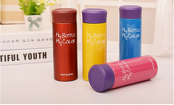 Термос My Bottle 330 мл